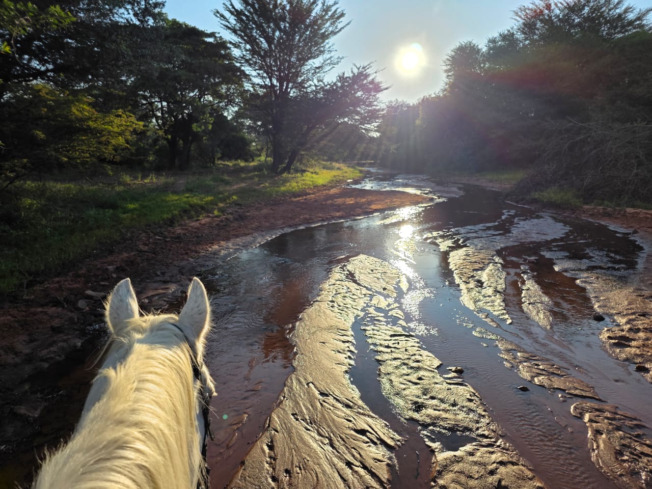 Horse riding in the Soutpansberg
