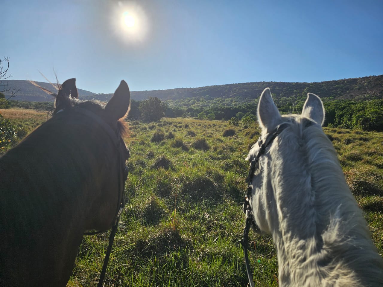 Riding in the Soutpansberg