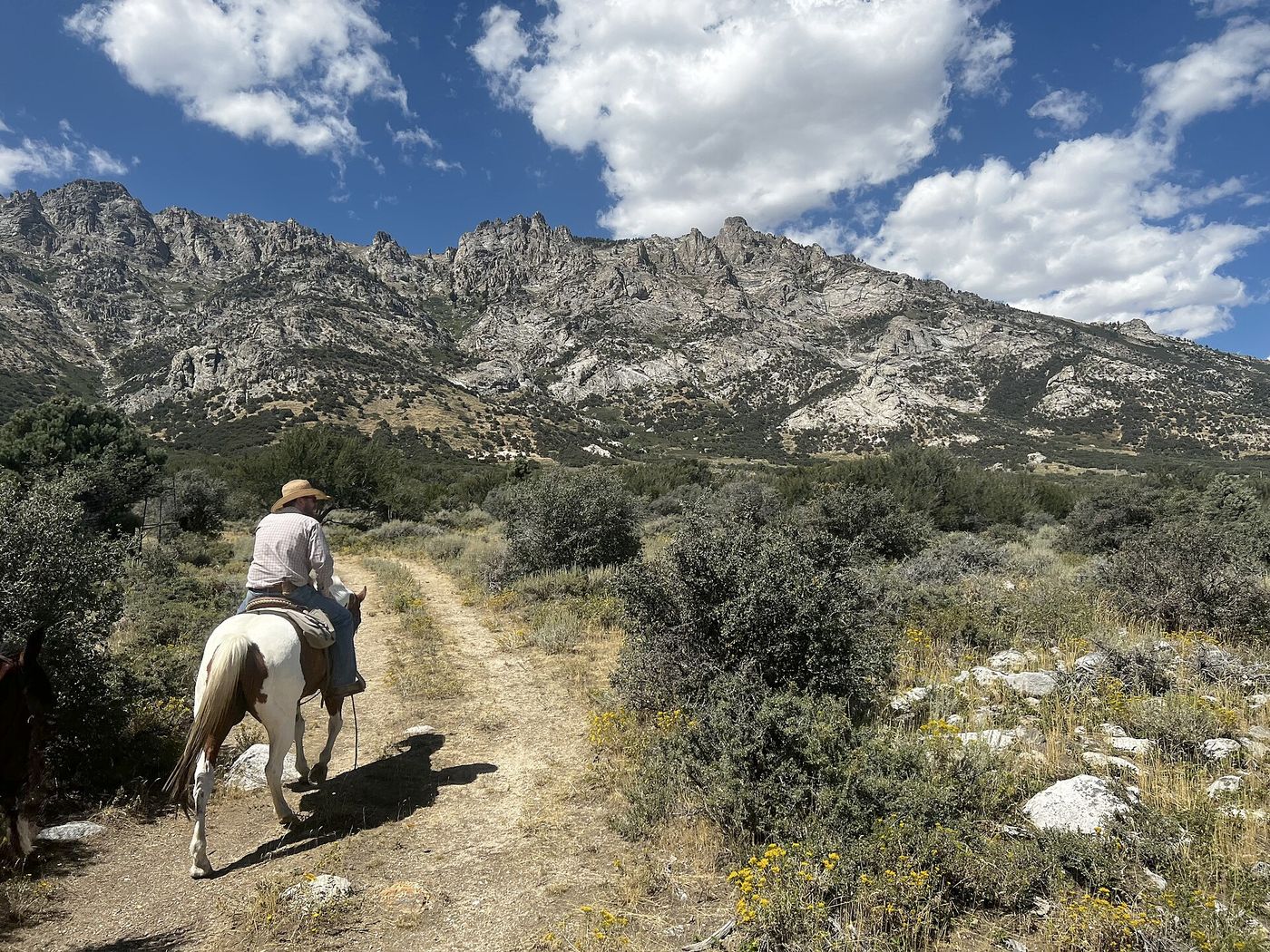 Horse and rider on a dry mountain valley trail