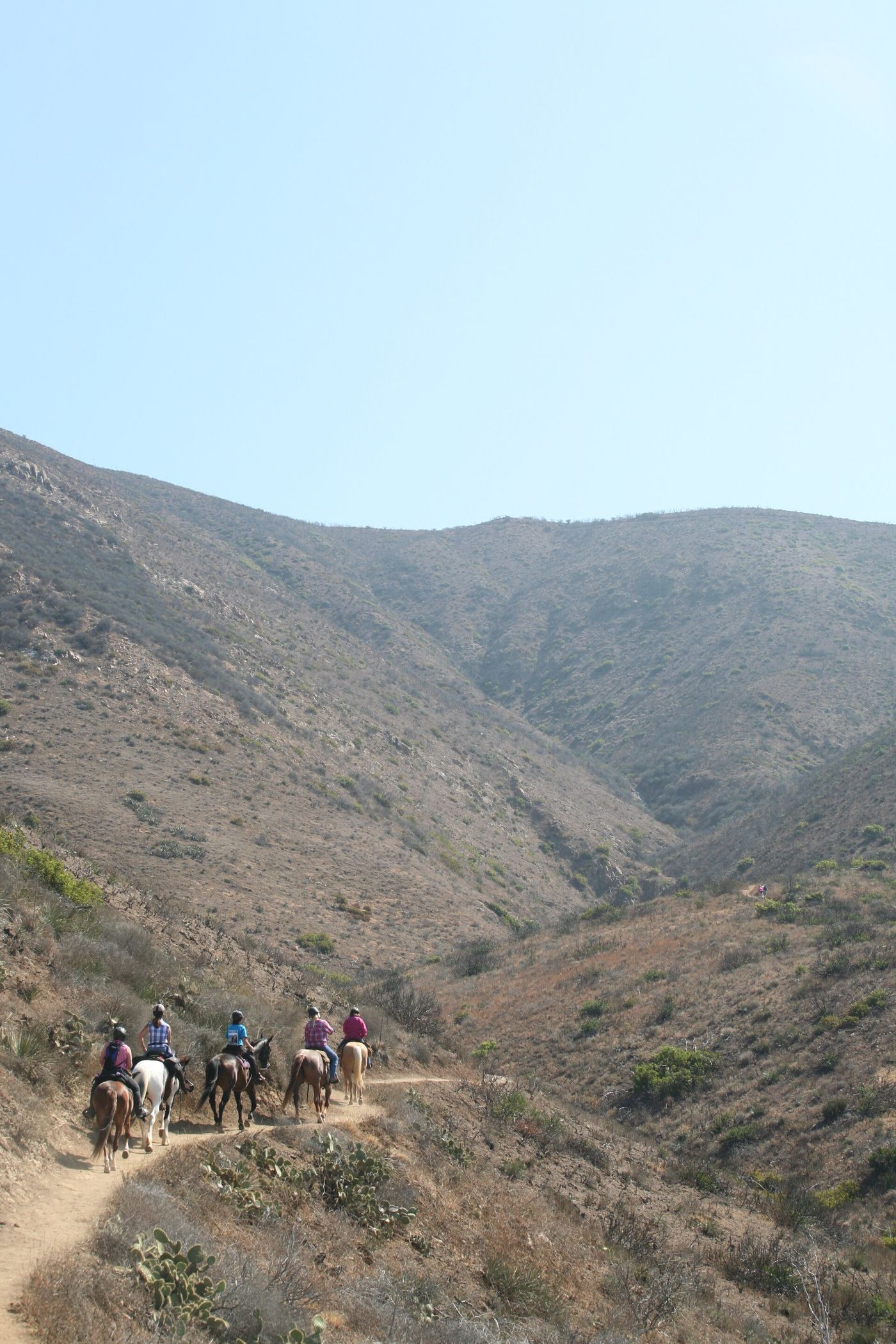 Group of riders single-file on a canyon trail