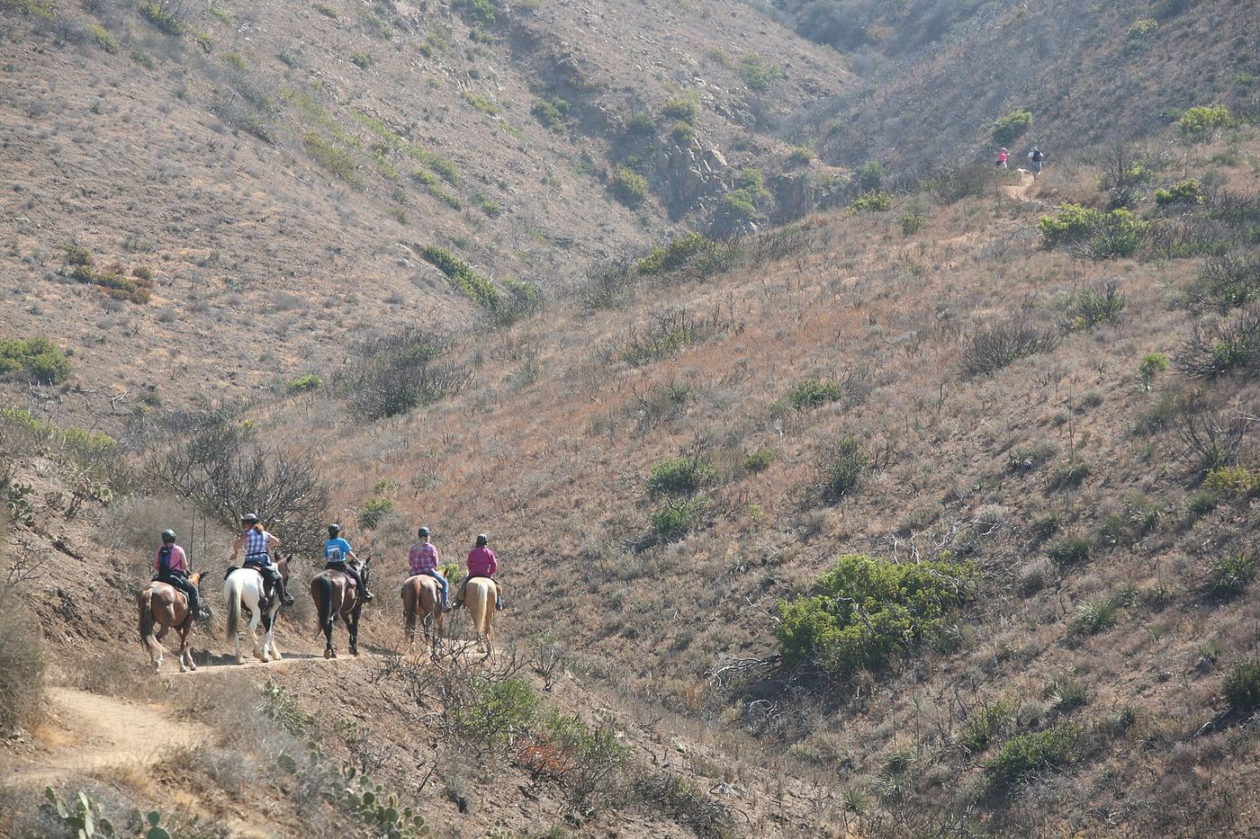 Line of riders on a canyon-side trail