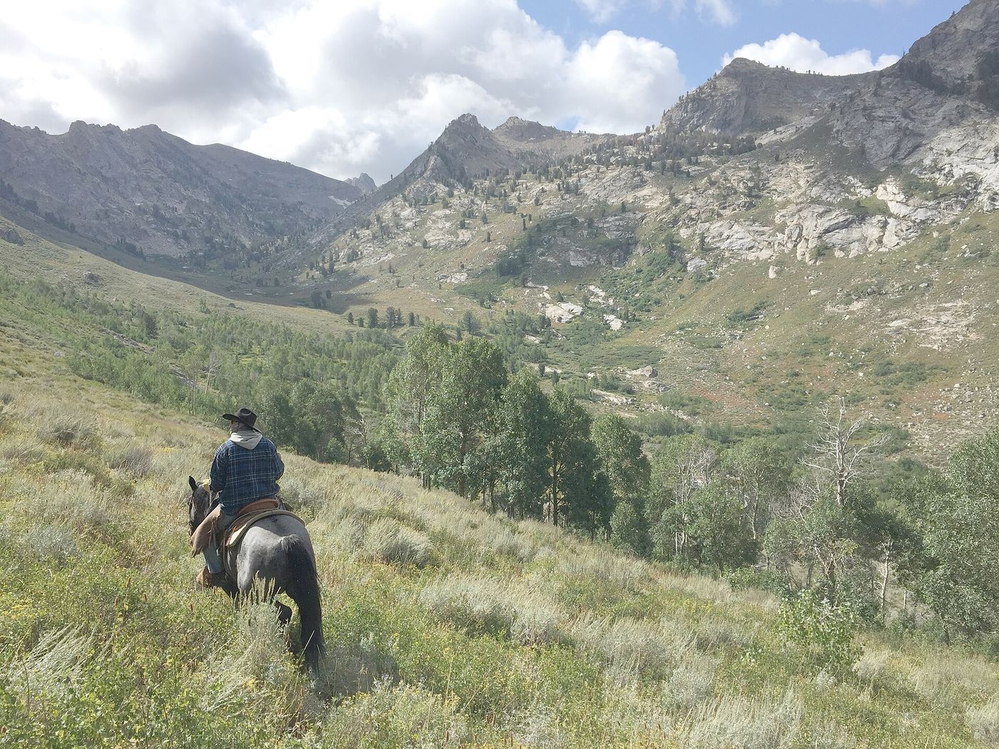 Rider climbing a mountain trail through pine forest