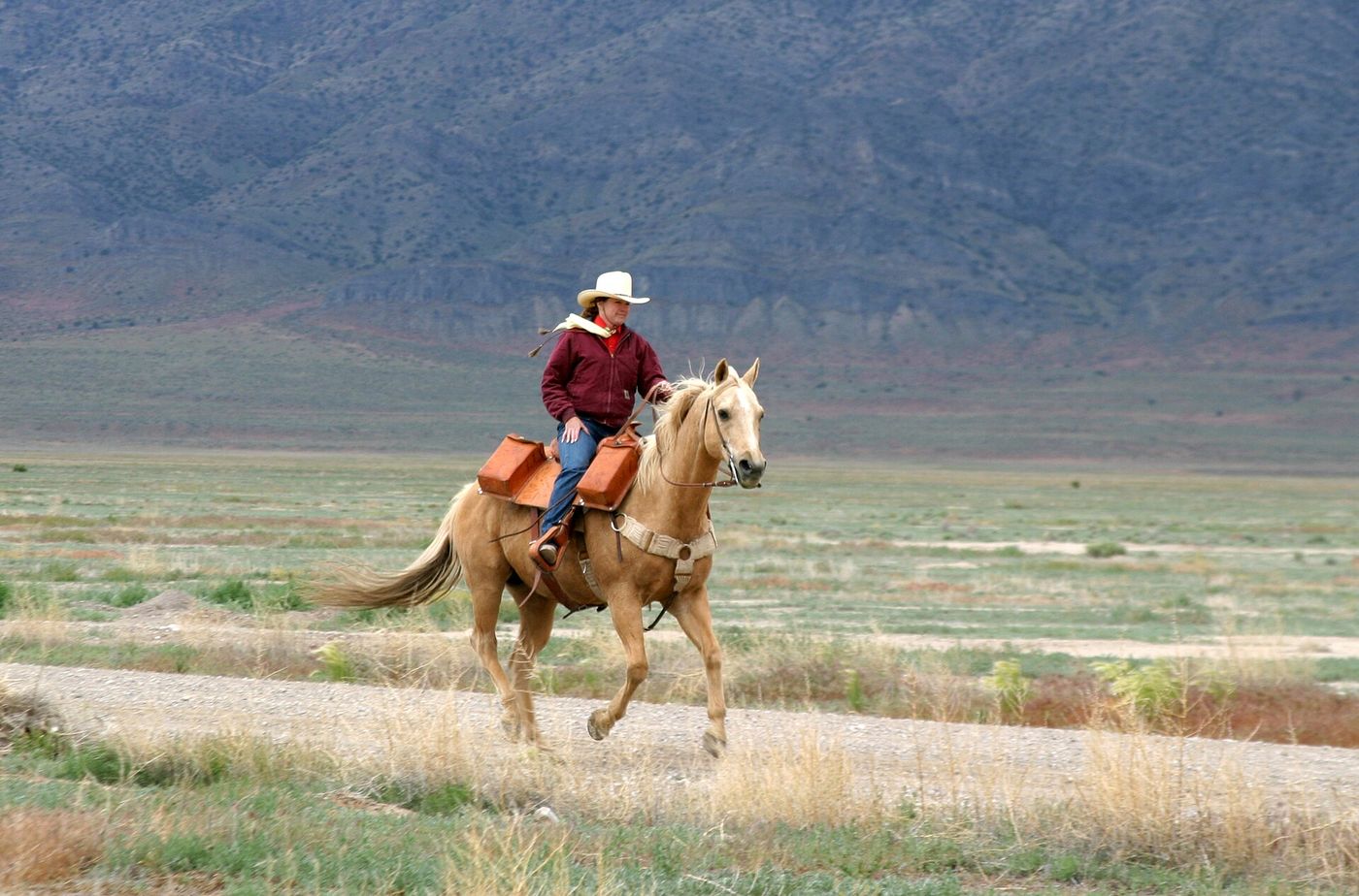 Rider on a valley trail with mountains behind
