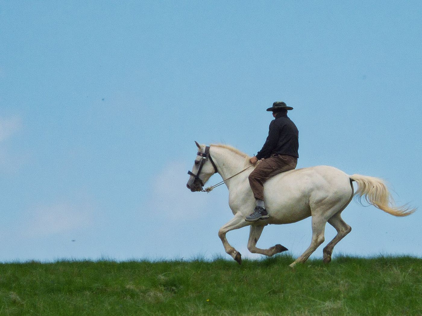 Rider on a green hilltop ridge